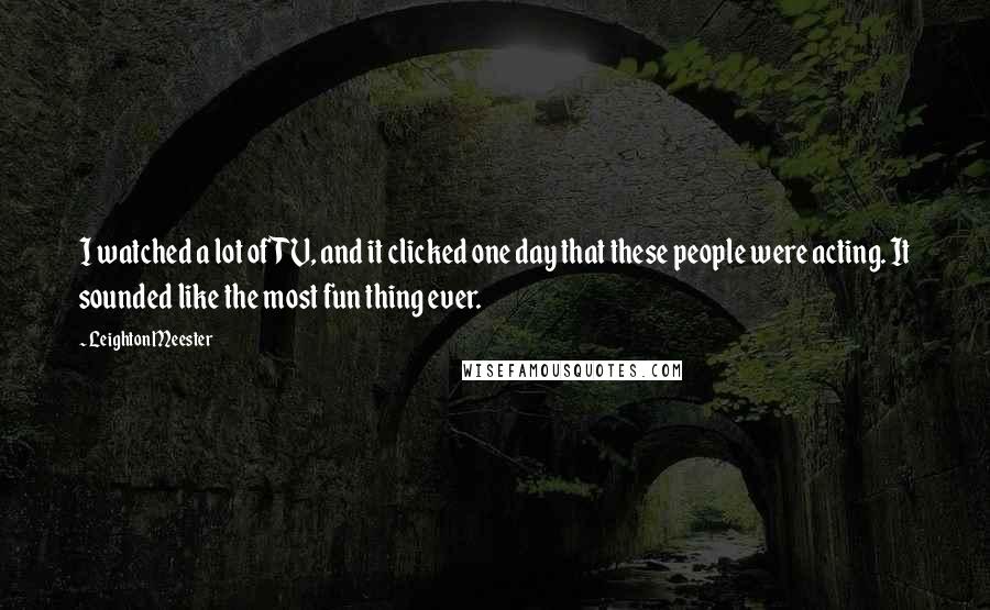 Leighton Meester Quotes: I watched a lot of TV, and it clicked one day that these people were acting. It sounded like the most fun thing ever.