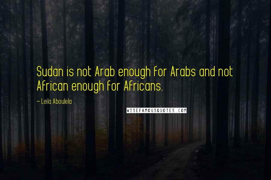 Leila Aboulela Quotes: Sudan is not Arab enough for Arabs and not African enough for Africans.
