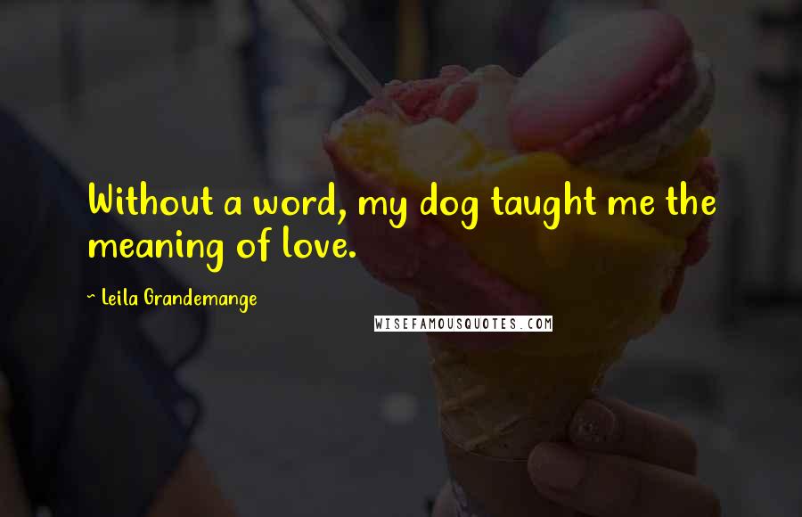 Leila Grandemange Quotes: Without a word, my dog taught me the meaning of love.