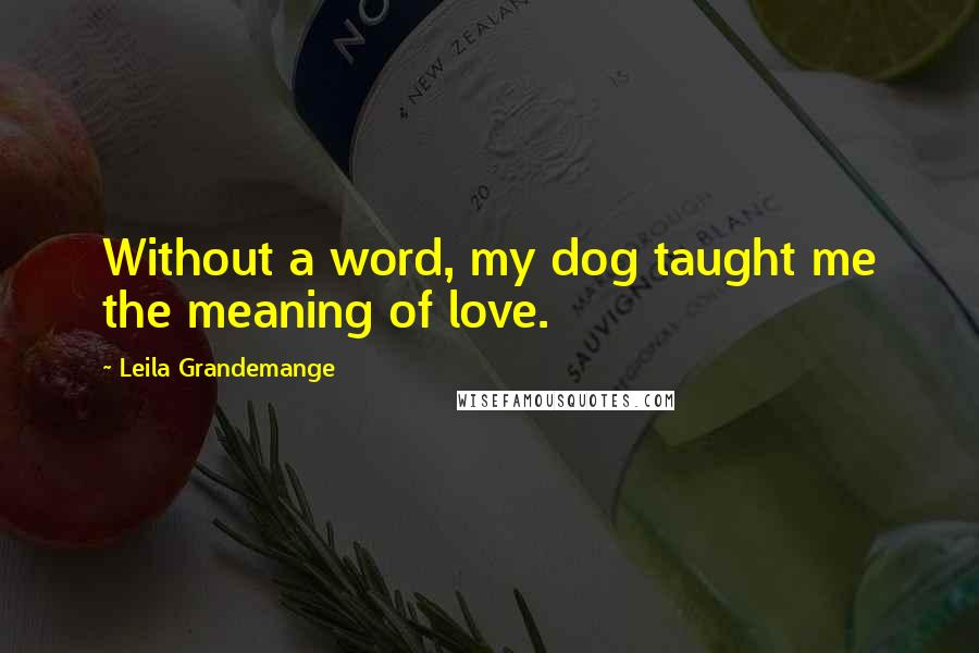 Leila Grandemange Quotes: Without a word, my dog taught me the meaning of love.