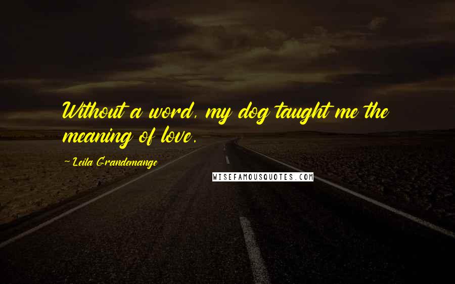 Leila Grandemange Quotes: Without a word, my dog taught me the meaning of love.