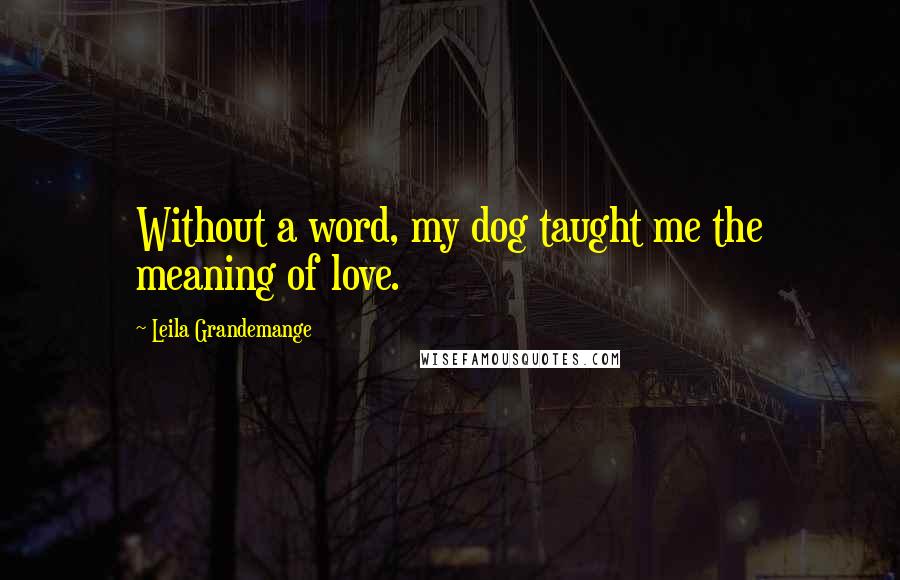 Leila Grandemange Quotes: Without a word, my dog taught me the meaning of love.