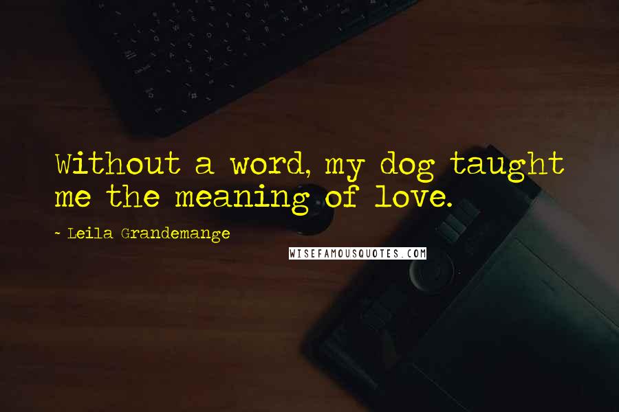 Leila Grandemange Quotes: Without a word, my dog taught me the meaning of love.