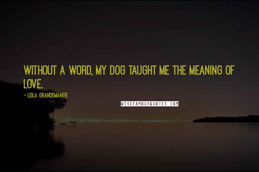 Leila Grandemange Quotes: Without a word, my dog taught me the meaning of love.