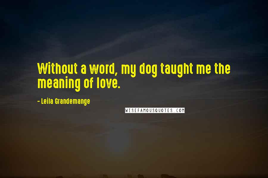 Leila Grandemange Quotes: Without a word, my dog taught me the meaning of love.