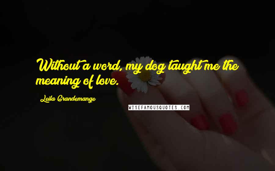 Leila Grandemange Quotes: Without a word, my dog taught me the meaning of love.