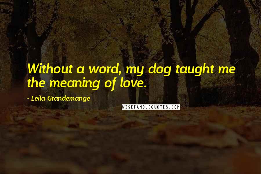 Leila Grandemange Quotes: Without a word, my dog taught me the meaning of love.