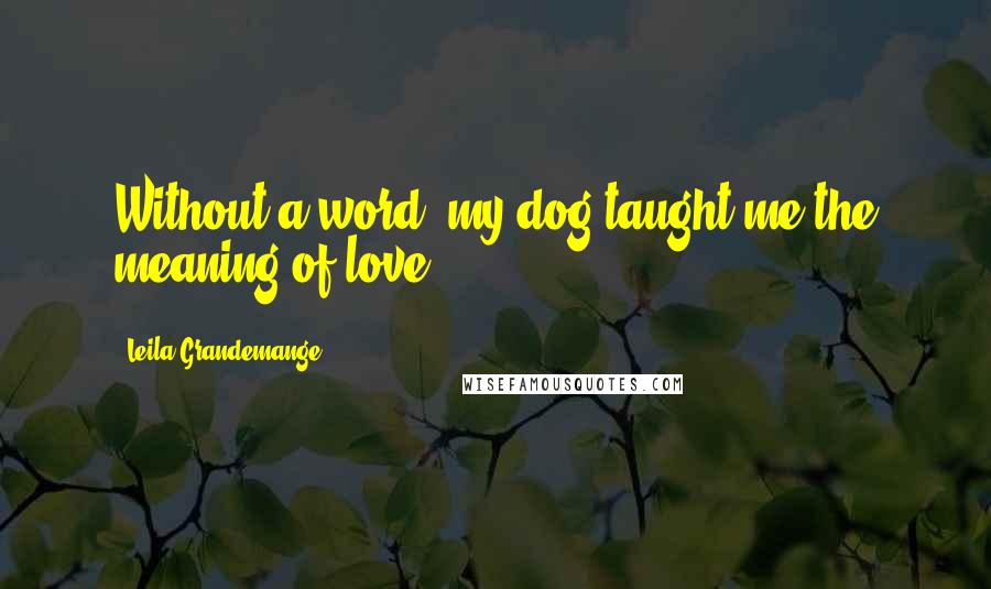 Leila Grandemange Quotes: Without a word, my dog taught me the meaning of love.