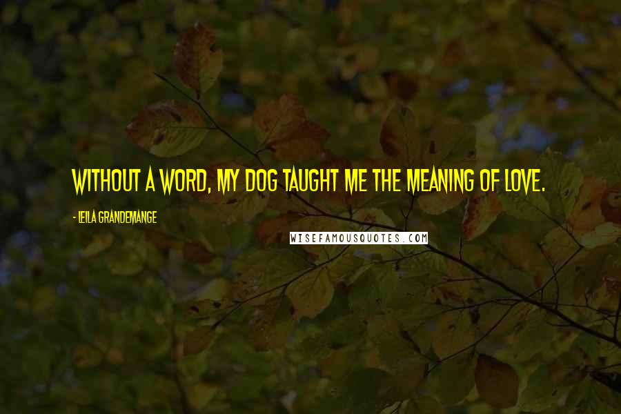 Leila Grandemange Quotes: Without a word, my dog taught me the meaning of love.