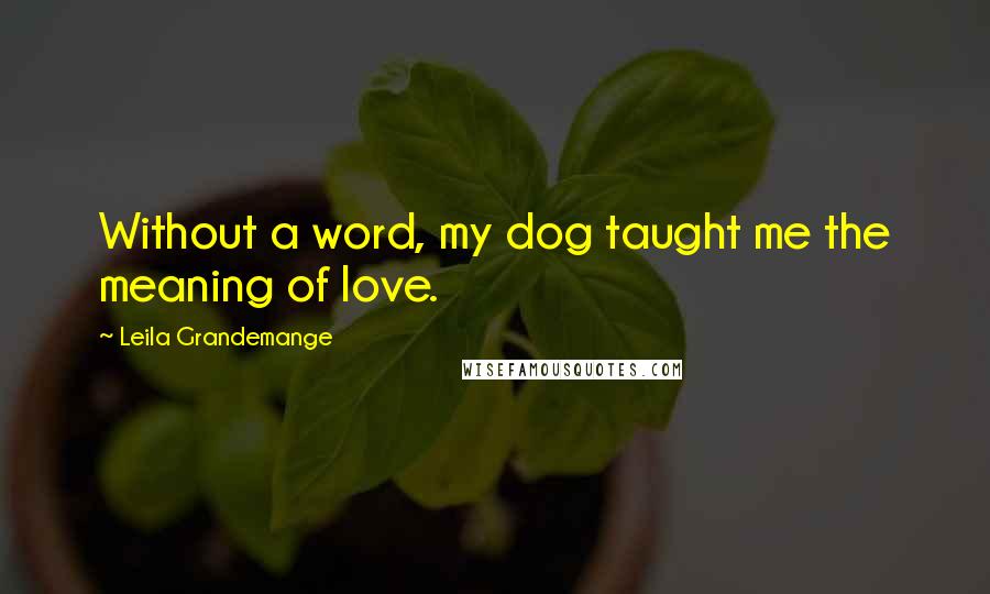 Leila Grandemange Quotes: Without a word, my dog taught me the meaning of love.