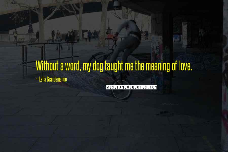 Leila Grandemange Quotes: Without a word, my dog taught me the meaning of love.