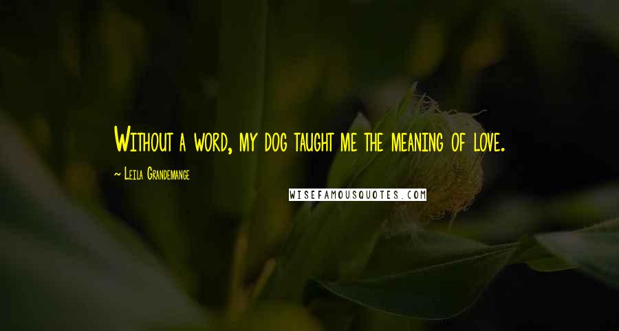 Leila Grandemange Quotes: Without a word, my dog taught me the meaning of love.