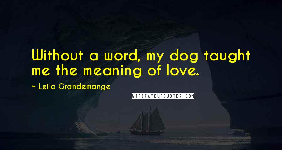 Leila Grandemange Quotes: Without a word, my dog taught me the meaning of love.