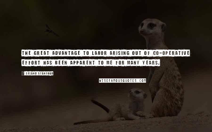 Leland Stanford Quotes: The great advantage to labor arising out of co-operative effort has been apparent to me for many years.