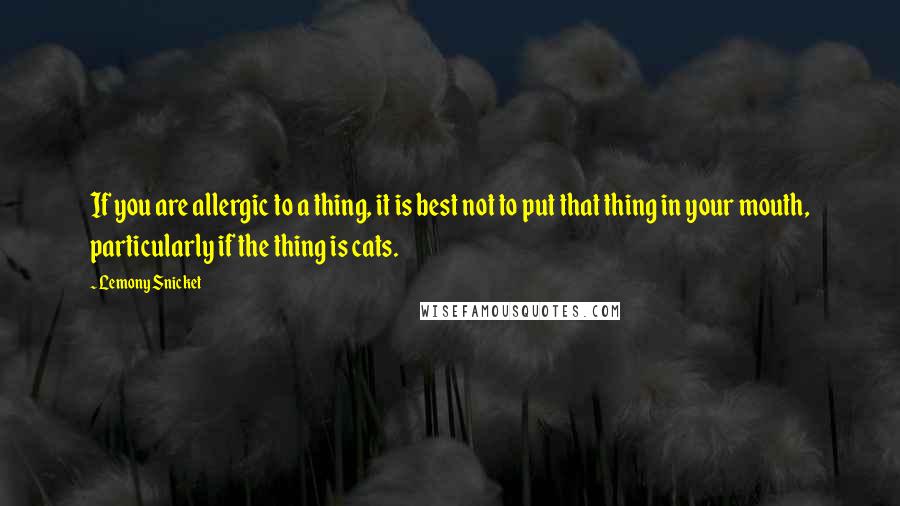 Lemony Snicket Quotes: If you are allergic to a thing, it is best not to put that thing in your mouth, particularly if the thing is cats.