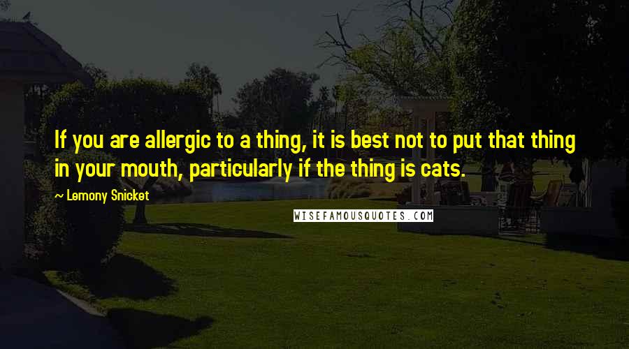 Lemony Snicket Quotes: If you are allergic to a thing, it is best not to put that thing in your mouth, particularly if the thing is cats.