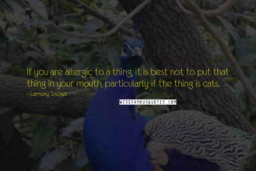 Lemony Snicket Quotes: If you are allergic to a thing, it is best not to put that thing in your mouth, particularly if the thing is cats.