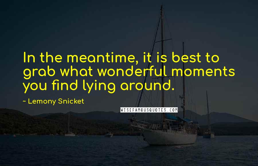 Lemony Snicket Quotes: In the meantime, it is best to grab what wonderful moments you find lying around.