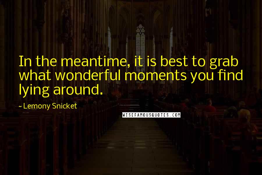 Lemony Snicket Quotes: In the meantime, it is best to grab what wonderful moments you find lying around.