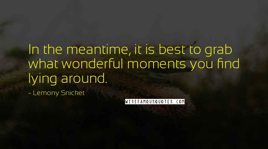 Lemony Snicket Quotes: In the meantime, it is best to grab what wonderful moments you find lying around.