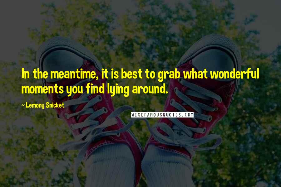 Lemony Snicket Quotes: In the meantime, it is best to grab what wonderful moments you find lying around.