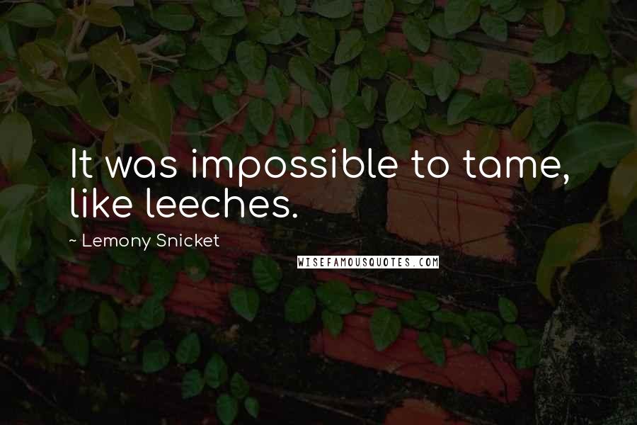 Lemony Snicket Quotes: It was impossible to tame, like leeches.
