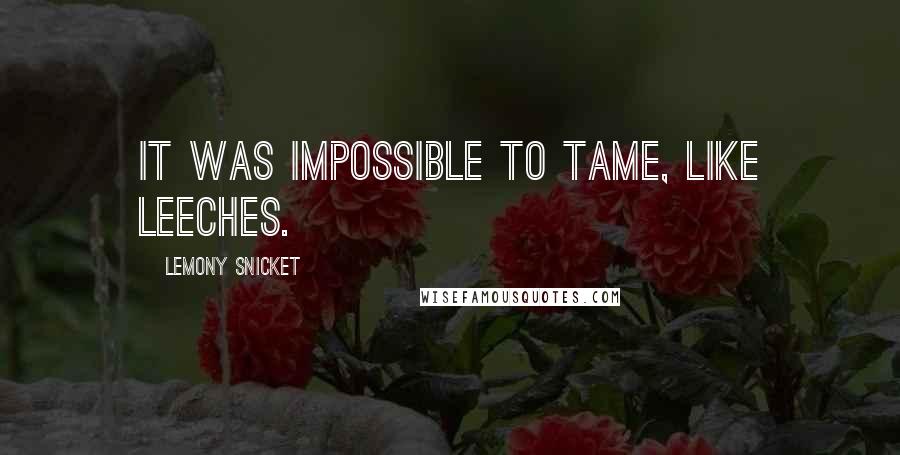 Lemony Snicket Quotes: It was impossible to tame, like leeches.