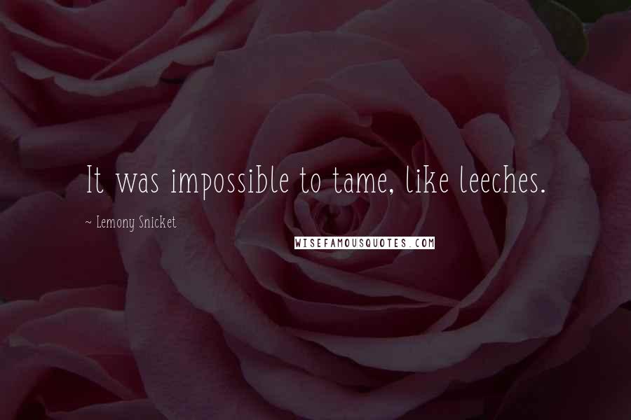 Lemony Snicket Quotes: It was impossible to tame, like leeches.