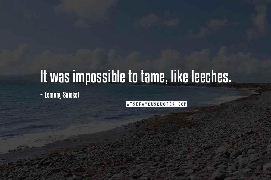 Lemony Snicket Quotes: It was impossible to tame, like leeches.