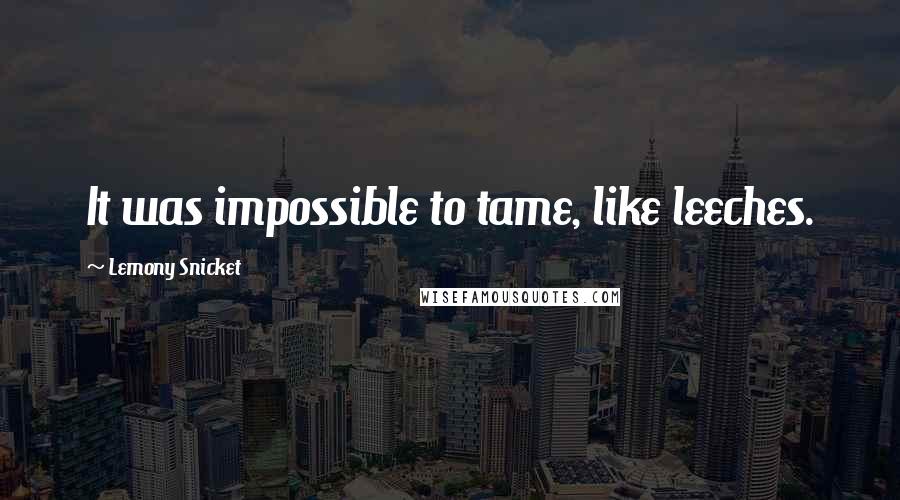 Lemony Snicket Quotes: It was impossible to tame, like leeches.