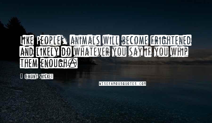 Lemony Snicket Quotes: Like People, animals will become frightened and likely do whatever you say if you whip them enough.