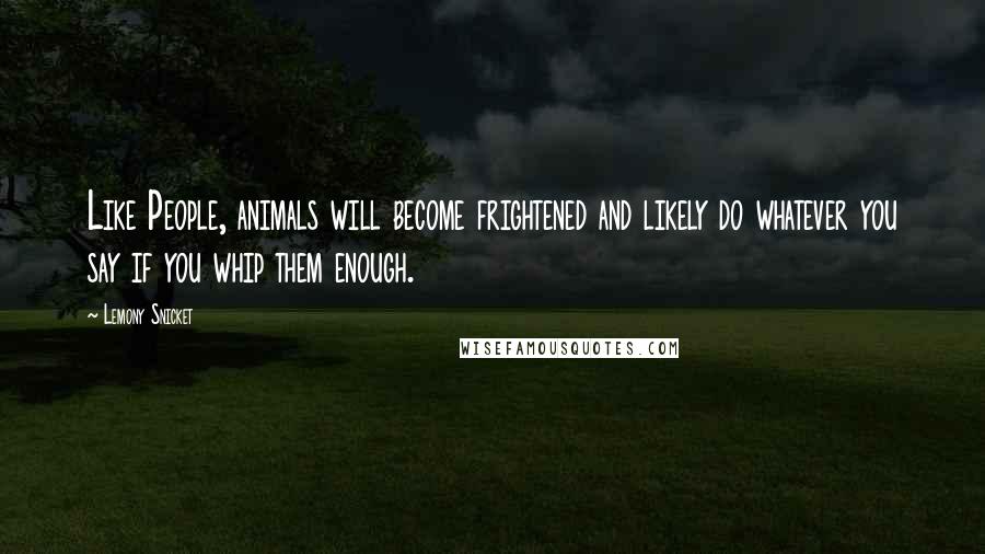Lemony Snicket Quotes: Like People, animals will become frightened and likely do whatever you say if you whip them enough.