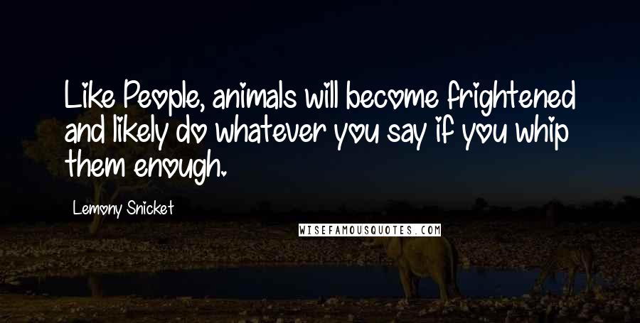 Lemony Snicket Quotes: Like People, animals will become frightened and likely do whatever you say if you whip them enough.