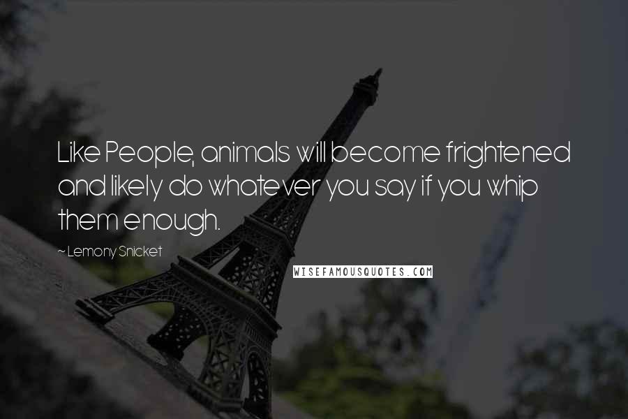 Lemony Snicket Quotes: Like People, animals will become frightened and likely do whatever you say if you whip them enough.