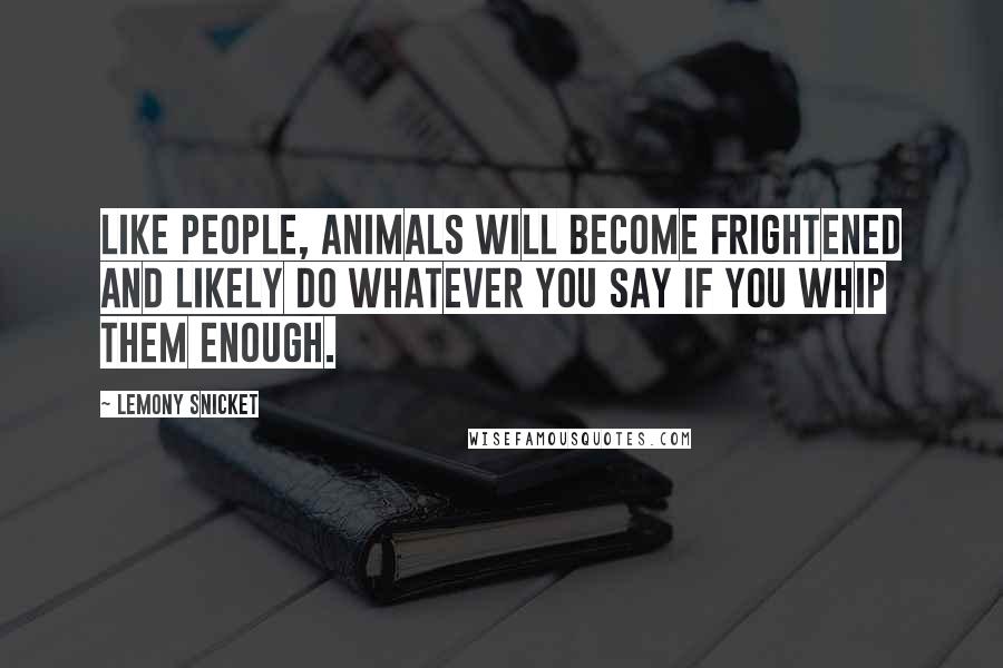 Lemony Snicket Quotes: Like People, animals will become frightened and likely do whatever you say if you whip them enough.