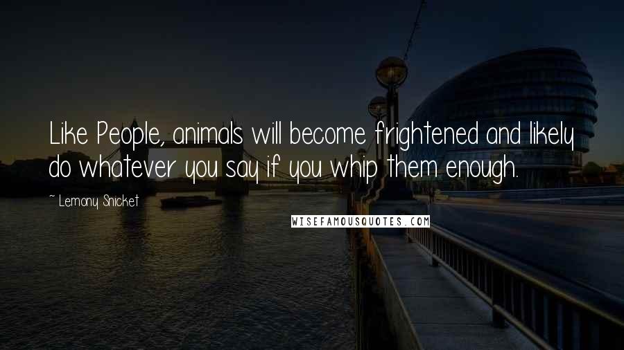 Lemony Snicket Quotes: Like People, animals will become frightened and likely do whatever you say if you whip them enough.