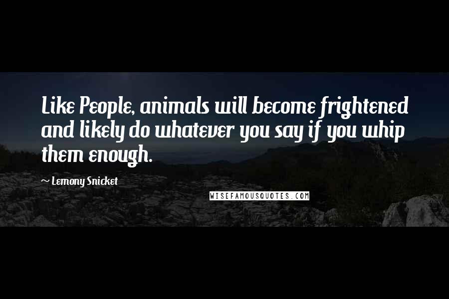 Lemony Snicket Quotes: Like People, animals will become frightened and likely do whatever you say if you whip them enough.
