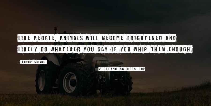 Lemony Snicket Quotes: Like People, animals will become frightened and likely do whatever you say if you whip them enough.