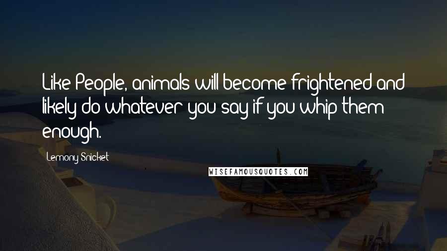 Lemony Snicket Quotes: Like People, animals will become frightened and likely do whatever you say if you whip them enough.