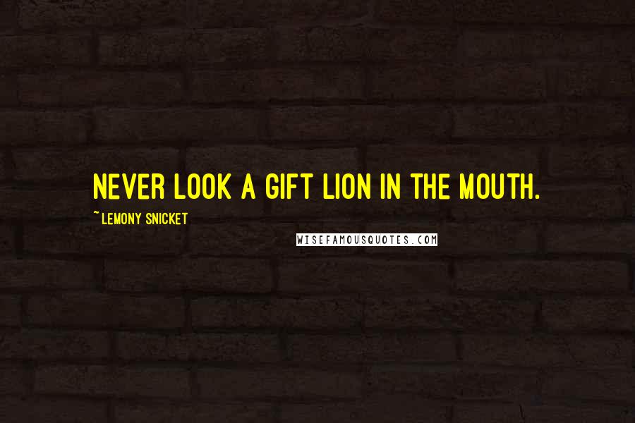 Lemony Snicket Quotes: Never look a gift lion in the mouth.