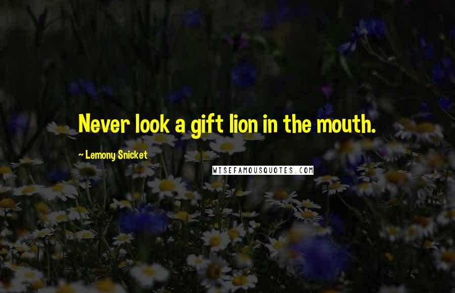 Lemony Snicket Quotes: Never look a gift lion in the mouth.