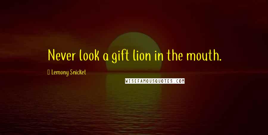 Lemony Snicket Quotes: Never look a gift lion in the mouth.