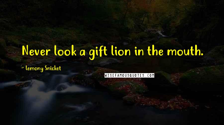 Lemony Snicket Quotes: Never look a gift lion in the mouth.