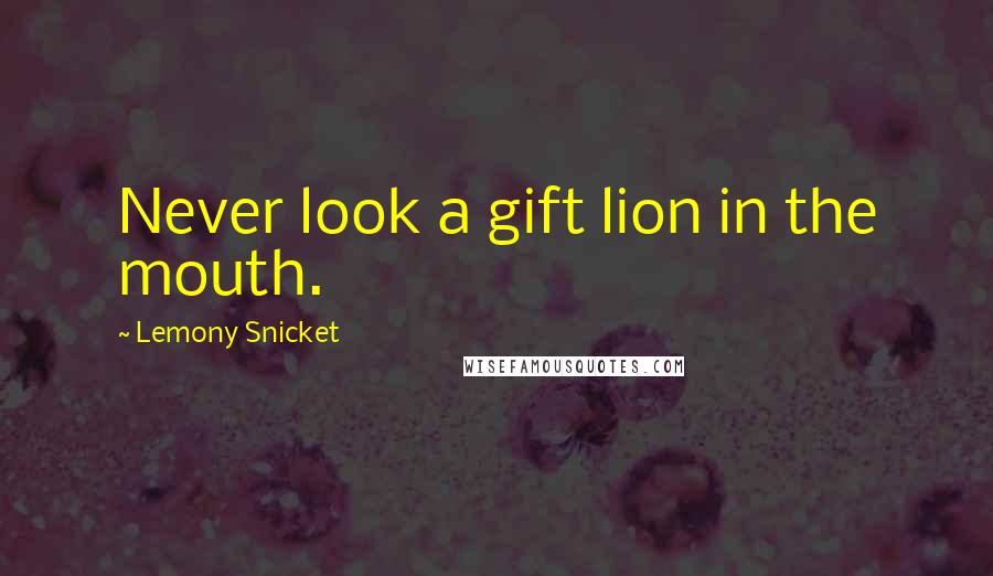 Lemony Snicket Quotes: Never look a gift lion in the mouth.