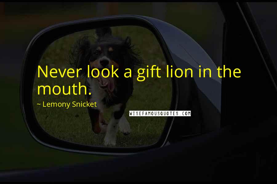 Lemony Snicket Quotes: Never look a gift lion in the mouth.