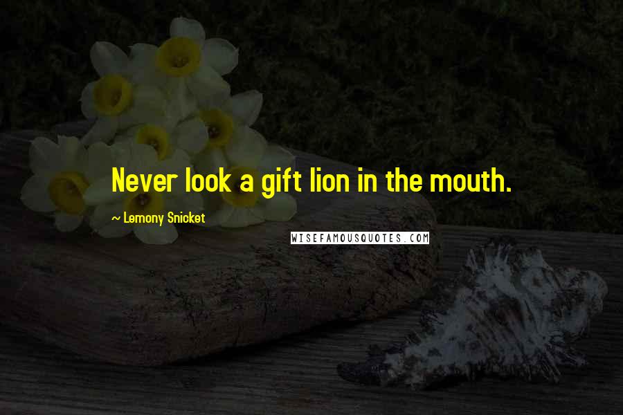 Lemony Snicket Quotes: Never look a gift lion in the mouth.