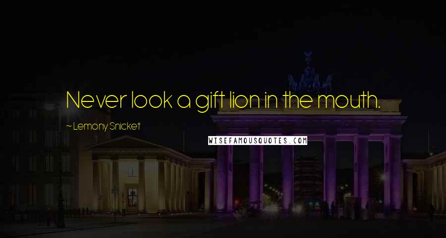 Lemony Snicket Quotes: Never look a gift lion in the mouth.