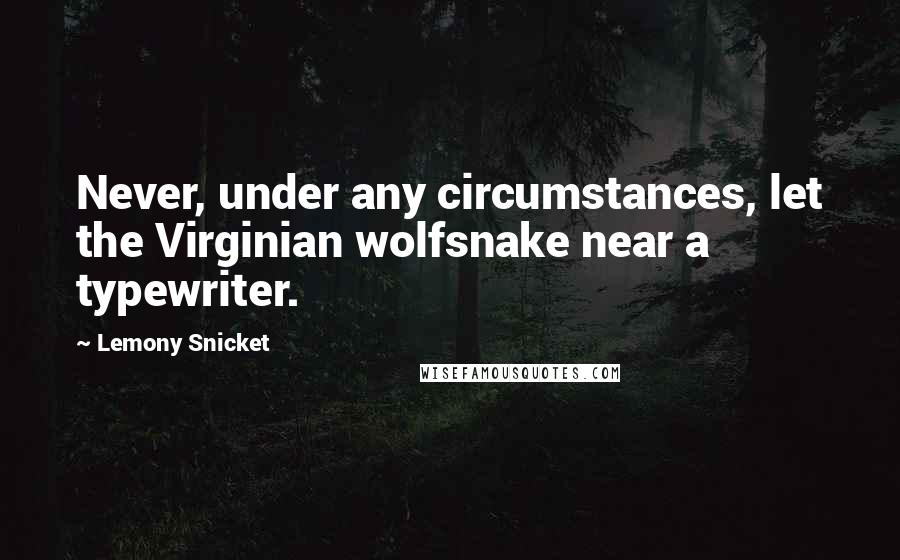 Lemony Snicket Quotes: Never, under any circumstances, let the Virginian wolfsnake near a typewriter.