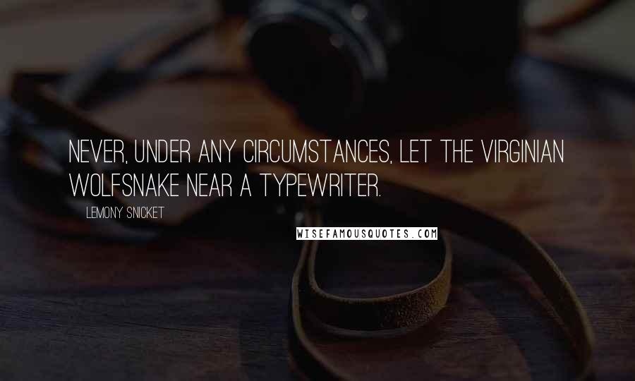 Lemony Snicket Quotes: Never, under any circumstances, let the Virginian wolfsnake near a typewriter.