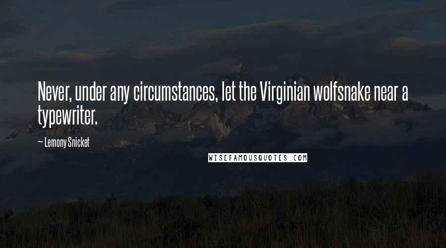 Lemony Snicket Quotes: Never, under any circumstances, let the Virginian wolfsnake near a typewriter.